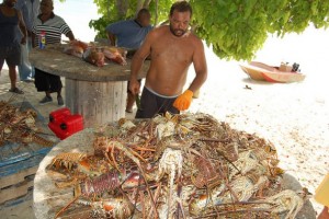 En Islas Turcas y Caicos, el gobierno busca nuevas formas de gestionar las poblaciones de caracolas y ostras. Crédito: Zadie Neufville/IPS.