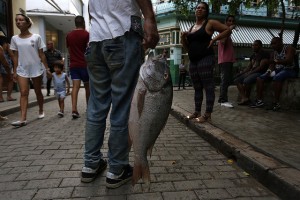 Un vendedor exhibe un pescado en la calle Obispo, en el centro histórico de La Habana Vieja. El comercio informal palia la muy insatisfecha demanda de pescado en Cuba, donde el consumo anual por persona apenas alcanza los 3,2 kilógramos. Crédito: Jorge Luis Baños/IPS