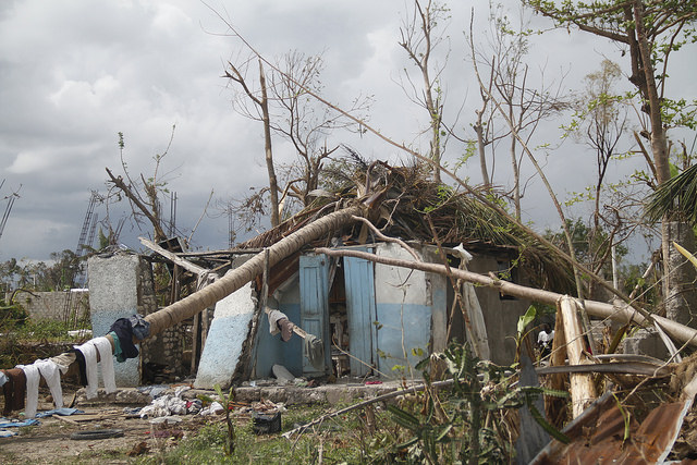 Una vivienda precaria en Gelée, en la localidad de Les Cayes, en Haití quedó seriamente dañada por un árbol caído durante el pasaje del huracán Matthew en octubre de 2016. Crédito: Kenton X. Chance/IPS.