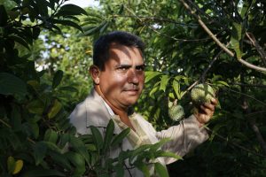 Onay Martínez sostiene un anón en su finca Tierra Brava, en el extremo occidental de Cuba, donde práctica la agricultura de conservación y ha convertido su explotación en un modelo de en el país de este sistema sostenible que perturba mínimamente el suelo. Crédito: Jorge Luis Baños/IPS