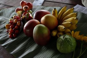 Muestra de frutas cultivadas en Tierra Brava, una finca situada en Los Palacios, en la occidental provincia de Pinar del Río, en Cuba. En la cooperativa de la que forma parte, los productores aspiran a construir una planta procesadora para vender a los turistas “fruta sana”. Crédito: Jorge Luis Baños/IPS