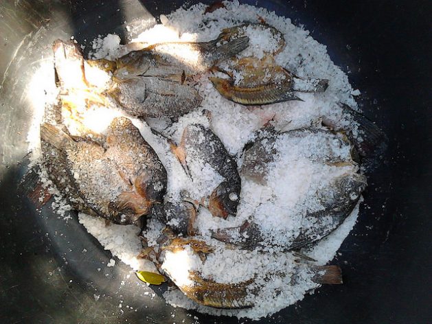 El salado del pescado evita las pérdidas y aumenta los beneficios en la cadena de valor. Crédito: Friday Phiri/IPS