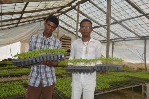 Esquerlín Méndez (izquierda) y Luis David Medina. Crédito: Rosa Borg/FAO