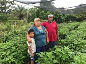 La pareja de Lilliam Escalante y Santos Félix Membreño con un niño de la familia, en la finca que manejan mediante el modelo de ambiente protegido, denominado de casa sombra, que facilita la producción hortícola todo el año. Crédito: Dennis Sánchez Acuña/FAO