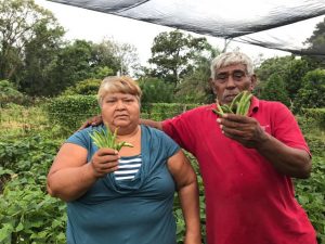 Lilliam Escalante Herrera y Santos Félix Membreño, dos inmigrantes que han hecho su vida como agricultores familiares en Liberia, en la provincia de Guanacaste, en Costa Rica. Crédito: Dennis Sánchez Acuña/FAO