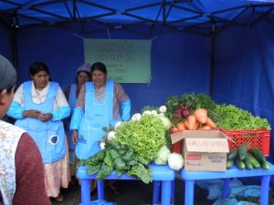 Agricultoras de la localidad rural de Tapila Florida, en el departamento boliviano de La Paz, venden sus productos recién cosechados en un centro de acopio, gracias al apoyo del Centro de Capacitación y Servicio para la Mujer para que desarrollen la agroecología. Crédito: Cortesía de Cecasem