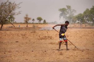La degradación de tierras, responsable de la emigración de las poblaciones rurales, es un gran problema en Senegal. Crédito: M. Mitchell/IFPRI.