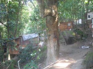 Con planchas de madera, plástico y otros materiales precarios, como estas viviendas levantadas en una empinada ladera en la “favela” de La Rocinha, en Río de Janeiro, comienzan las ocupaciones por el derecho a la vivienda en los grandes asentamientos irregulares de las ciudades de América Latina. Crédito: Fabiana Frayssinet/IPS