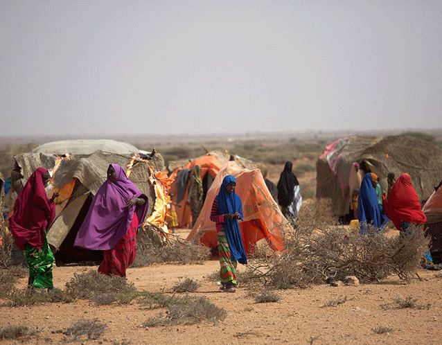 La sequía hace estragos en el Cuerno de África. Crédito: FAO