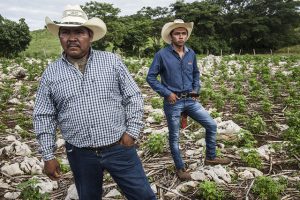 Paesano Gómez López y su hijo Luis Gustavo, en su predio en Nuevo Sonora, en el sureño estado de Chiapas, en México. Crédito: Alex Webb/Magnum Photos-FAO