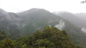 El Parque Nacional Tapantí, al este de San José de Costa Rica, cubre más de 50.000 hectáreas de bosque. Este país es el único de América Central que incrementó su capa forestal en los últimos 15 años. Crédito: Diego Arguedas Ortiz/IPS