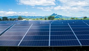 La compañía Providencia Solar inauguró este año la primera planta de energía fotovoltaica en El Salvador, en el central departamento de La Paz. Con 320.000 paneles solares, es una de las instalaciones solares más grande de América Central, cuyos países se esfuerzan por convertir sus matrices energéticas a fuentes renovables. Crédito: Edgardo Ayala/IPS