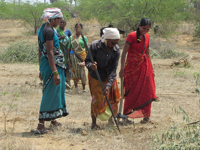 Mujeres recuperan tierras degradadas en el sur de India bajo un programa gubernamental. Crédito: Stella Paul/IPS.