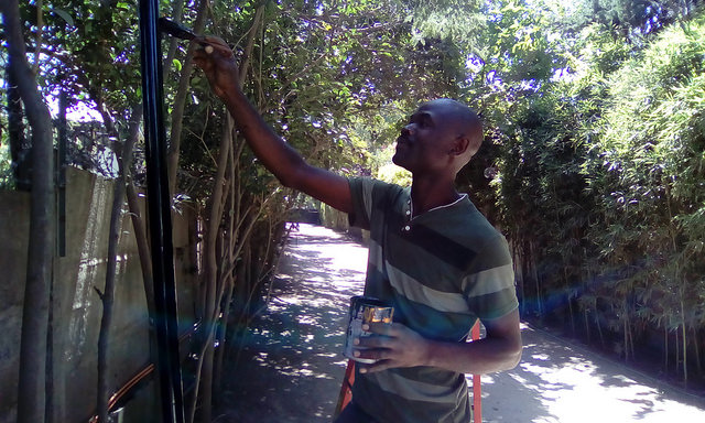 El pintor y electricista Salomón Henry vive desde hace tres años en Santiago de Chile con su familia. Tiene residencia por cinco años, gracias a un contrato de trabajo en un exclusivo condominio, donde reinstaló la red eléctrica entre otras tareas. En 2014 los migrantes haitianos no llegaban a los 1.800 y en abril de este año bordeaban los 120.000 según cifras oficiales. Crédito: Orlando Milesi/IPS