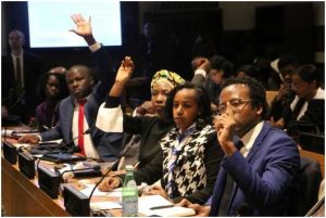 Jóvenes africanos participaron en un foro internacional de jóvenes en la sede de la Organización de las Naciones Unidas en Nueva York. Crédito: Africa Renewal/Shu Zhang.