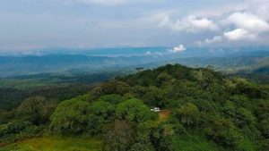 La República Democrática del Congo tiene la segunda selva más grande del mundo, unas 135 millones de hectáreas, que son un poderoso baluarte contra el cambio climático. Crédito: Roni Ziade/Forest Service.