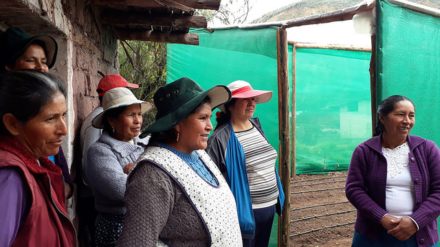 En la comunidad de Paropucjio varias mujeres se reúnen al lado del fitotoldo que acaban de construir juntas en la parcela de una de ellas, en el municipio de Cusipata, a más de 3.300 metros de altura, en la zona altoandina de Cusco, en Perú. Ellas se emocionan al hablar de la mejoría que este invernadero aportará a la vida de sus familias. Crédito: Mariela Jara/IPS