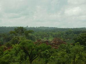 La selva en la zona de Kintampo, en Guinea, ante el dilema de preservar el ambiente y llevar la electricidad a todo los hogares. Actualmente, apenas la cuarta parte de la población de ese país tiene electricidad. Crédito: CC by 3.0