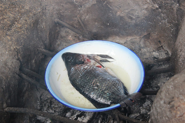 La pesca continental es clave para la seguridad alimentaria en América Latina. En la imagen una tilapia producida en el llamado Corredor Seco de Guatemala, preparada para ser cocinada en una zona rural de Guatemala. Crédito: Rubí López/FAO
