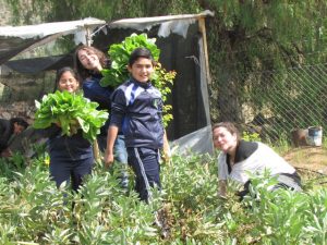 Estudiantes de la escuela rural El Llanito de Punitaqui, en el norte desértico de Chile, muestran las hortalizas del huerto que riegan gracias a la cosecha de agua de lluvia. Crédito: Cortesía de la Fundación Un Alto en el Desierto