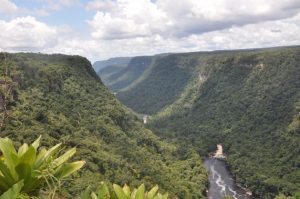 Alrededor de 80 por ciento de los bosques de Guyana, unas 15 millones de hectáreas, permanecen vírgenes. Este país prepara la transición hacia una economía verde, a la vez que explora sus reservas de combustibles fósiles. Crédito: Desmond Brown/IPS.