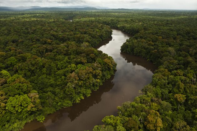 El río Essequibo es el más largo de Guyana, y el más largo entre el Orinoco y el Amazonas. Como se espera que la producción petrolera en Guyana comience en el primer trimestre de 2020, los especialistas señalan que el incremento de riesgos ambientales de más pozos petroleros requiere mayor capacidad de comprender y gestionar los riesgos. Crédito: Cortesía de Conservation International Guyana.