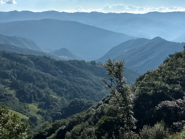 El bosque de la Sierra Juárez, en el estado de Oaxaca, en el sur de México, es vulnerable a las consecuencias del cambio climático, pero al mismo tiempo puede contribuir a su combate. Crédito: Emilio Godoy/IPS