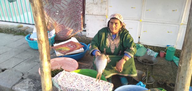 Rahti Begum vende pescado al borde del camino en Srinagar, la capital del estado indio de Cachemira. Ella cree que será la última mujer de su clan en vender pescado por la contaminación del lago Dal. Crédito: Umar Manzoor Shah/IPS.