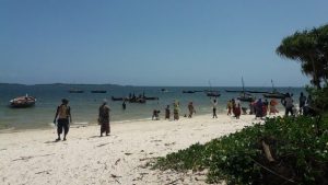 En la playa de Gasi, en el condado de Kwale, sobre el océano Índico, en Kenia, la gente espera para comprar pescado. La demanda de pescado aumenta en este país debido al rápido crecimiento de la población, en alrededor de tres por ciento al año, y de la mayor conciencia de su valor nutricional. Crédito: Diana Wanyonyi/IPS