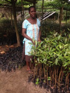 Rosemary Ackah forma parte del grupo de mujeres encargado de recoger las plántulas para crear un vivero de árboles del bosque de manglares. Crédito: Albert Oppong-Ansah/IPS