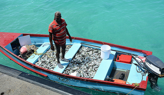 En la fotografía, un pescador de Barbados. Las reservas de peces en el Caribe sufren las consecuencias del cambio climático. Crédito: Desmond Brown/IPS