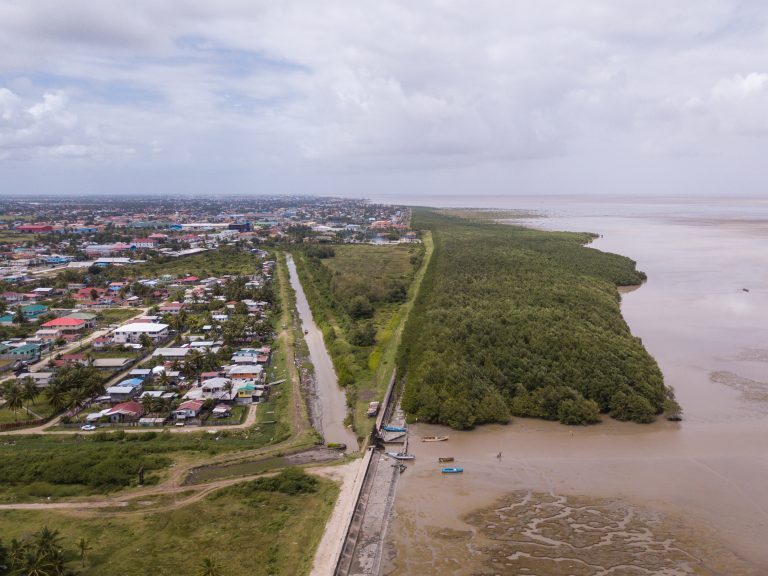 Vista aérea del bosque de manglares a lo largo de la costa de manglares. Alrededor de 90 por ciento de la población de Guyana viven en una estrecha franja costera que está entre medio metro y un metro por debajo del nivel del mar. Crédito: Cortesía del ministerio de Presidencia/OCC/Kojo McPherson