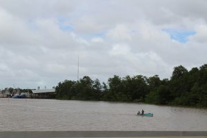Mangles crecen a los márgenes del río Demerara, que nace en la selva central y recorre 346 kilómetros hacia el norte hasta llegar al océano Atlántico. Crédito: Desmond Brown/IPS