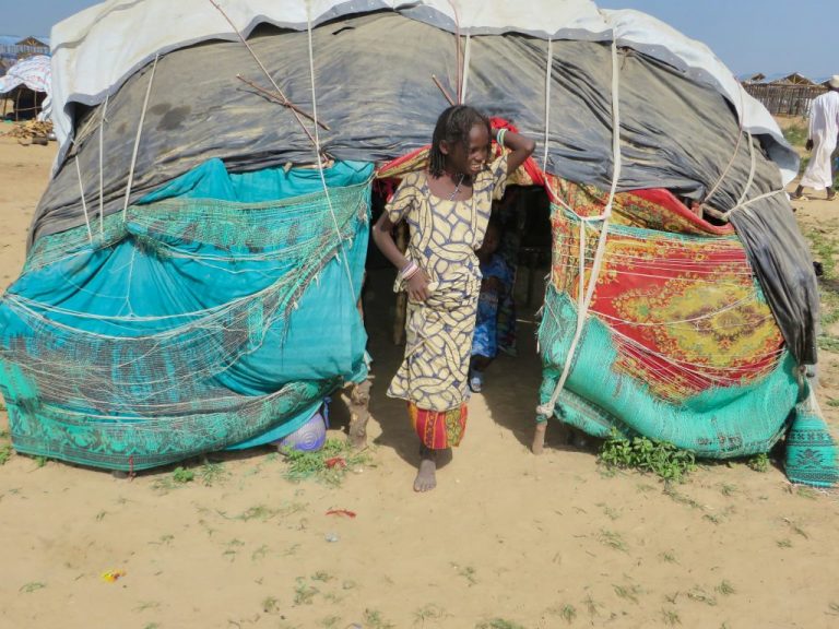 Una niña cuya familia huyó de los combatientes de Boko Haram en la entrada de una tienda de campaña en un campamento para desplazados internos en Maiduguri, la capital del estado de Borno, en el noreste de Nigeria. El extremista grupo islamista ha secuestrado a miles de niñas y las ha convertido en esclavas sexuales y forzado a matrimonios no deseados, entre otros abusos. Crédito: Sam Olukoya/IPS
