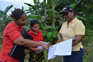 Equipo de encuestadoras de campo organizan las viviendas del entorno a visitar. Crédito: FAO Panamá