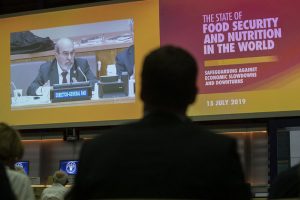 El director general de la FAO, José Graziano da Silva, participa el lunes 15 desde Roma en el lanzamiento conjunto de cinco agencias de las Naciones Unidas del informe “El estado de la seguridad alimentaria y la nutrición en el mundo 2019”. Crédito: FAO