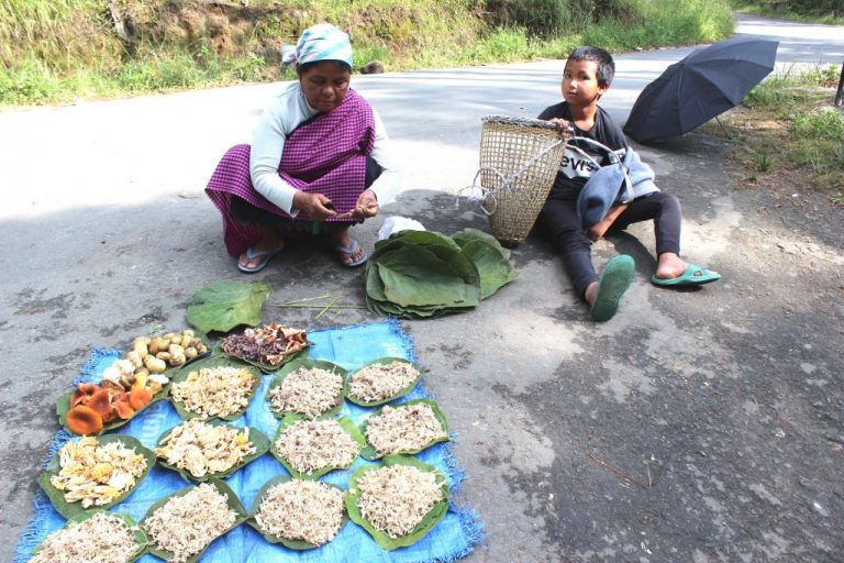 Phlida Kharshala, una indígena khasi del estado nororiental indio de Meghalaya, vende hongos en las afueras de la ciudad de Shillong, con su nieto de 8 años al lado. Ella recolecta y vende diferentes productos silvestres en los bosques, que va cambiando con las estaciones. Crédito: Manipadma Jena / IPS