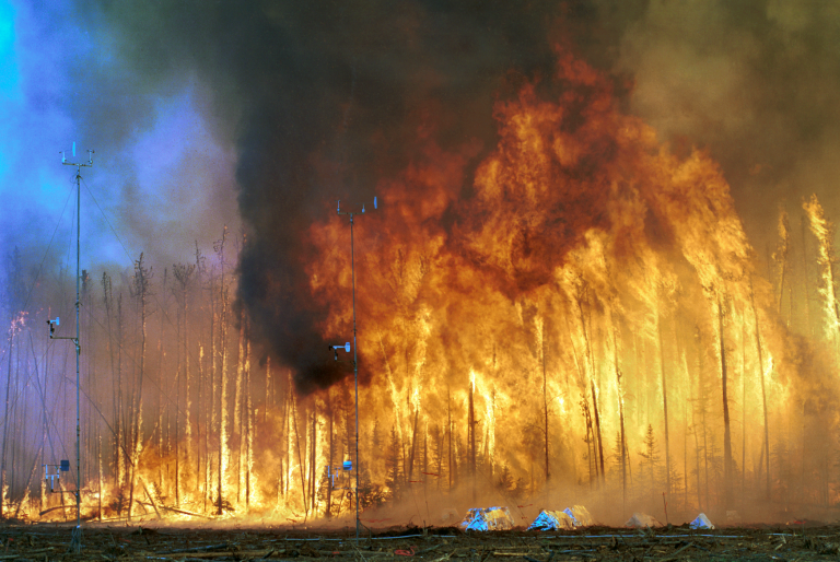 Con la magnitud y persistencia de los incendios forestales, aumenta la presión sobre Australia para que tome medidas para reducir las emisiones de gases de efecto invernadero (