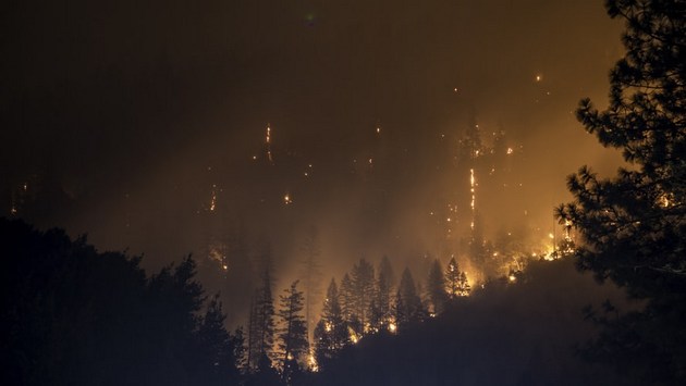 Los Incendios Forestales podrían convertirse en la nueva normalidad a medida que las temperaturas globales continúen aumentando, dice Niklas Hagelberg, experto en cambio climático del Programa de las Naciones Unidas para el Medio Ambiente