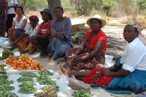 La falta de demanda de productos frescos en Zimbabwe se produce mientras el país enfrenta una crisis alimentaria que ha llevado al pedido internacional para recibir asistencia humanitaria y pone de relieve los desafíos para equilibrar la producción y el consumo de alimentos