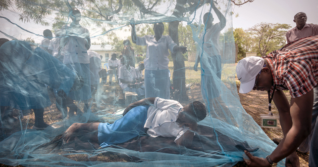 La malaria puede matar hasta 769 000 personas en África subsahariana este año, el doble de las muertes registradas en 2018, si persisten perturbaciones graves para distribuir en la región instrumentos de prevención y tratamiento, advirtió este jueves 23 la Organización Mundial de la Salud (OMS).