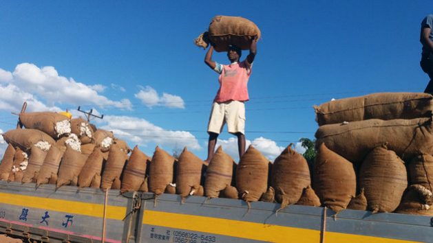 Los trabajadores en África, donde hay una elevada tasa de empleo informal, de baja calificación y poco remunerado, están en el sector de mayor riesgo de sufrir la catástrofe económica que advierte la OIT al avanzar la pandemia covid-19