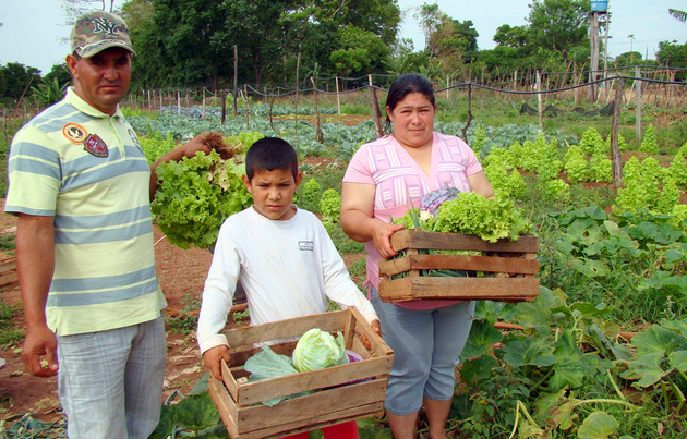 La pandemia covid-19 hace indispensable sostener en América Latina la agricultura familiar, que aporta casi dos tercios de la producción de alimentos en la región.