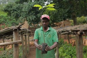Dentro del objetivo mundial de restaurar 150 millones de hectáreas de bosques degradados para 2020, Ruanda logró reforestar más de 800.000 hectáreas en menos de una década