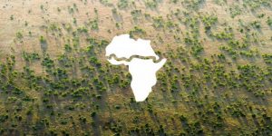 Una franja reforestada de 8000 kilómetros puede cruzar África como una muralla verde para detener el avance de la desertificación, ayudar a mitigar el cambio climático y mejorar los medios de vida de millones de personas. Imagen: UNCCD