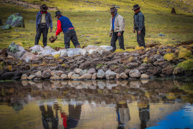 Siembra del agua reverdece a comunidades de alturas andinas en Perú