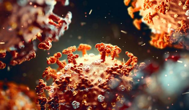 El SARS-CoV-2 es el virus que está detrás de la pandemia, que ya ha provocado cerca de 500 000 muertes en el mundo. Foto: Shutterstock