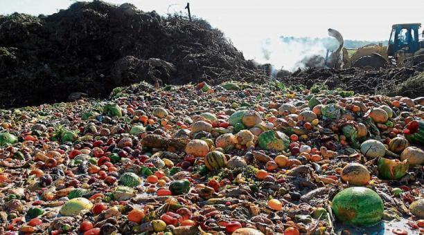 La pérdida y el desperdicio de alimentos implican despilfarro de recursos, menos posibilidades de reducir el hambre y un mayor impacto ecológico sobre el planeta. La FAO lanzó una plataforma con datos para ayudar a tomar decisiones e iniciativas que reduzcan ese daño. Foto FAO