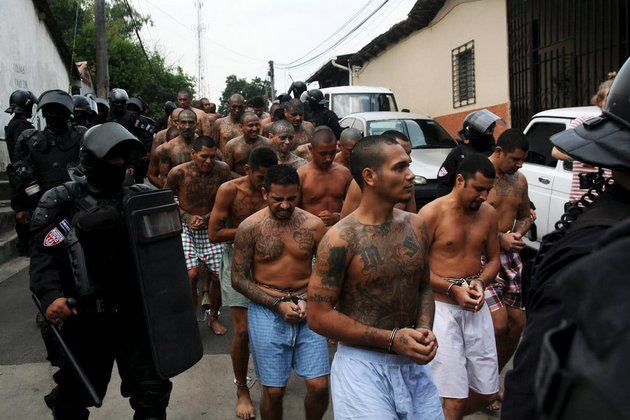 Miembros de la pandilla Maratrucha de El Salvador, son conducidos por la policía a una cárcel tras ser capturados. Foto: Crisis Group