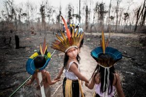 Los niños de la tribu huni kuni en el estado de Acre, en Brasil, caminan por sus tierras quemadas, que fueron incendiadas por agricultores locales en septiembre de 2019. Foto: | David Tesinsky/Zuma Press/PA Images